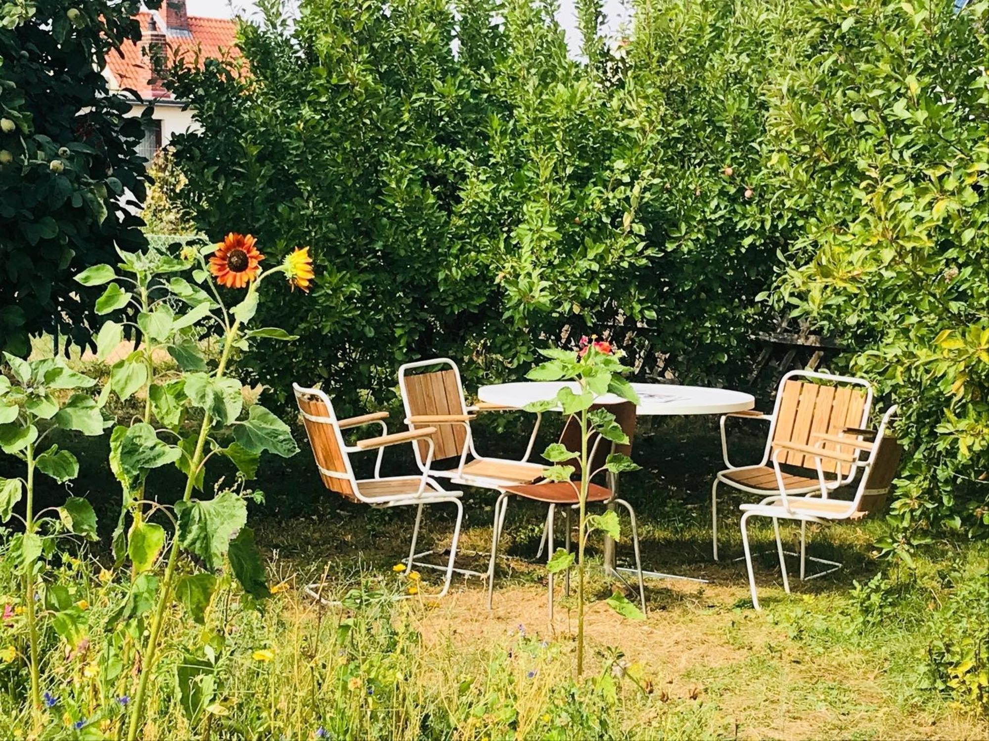 Casa Marcu Wohnung 1 Og Landkirchen Kültér fotó